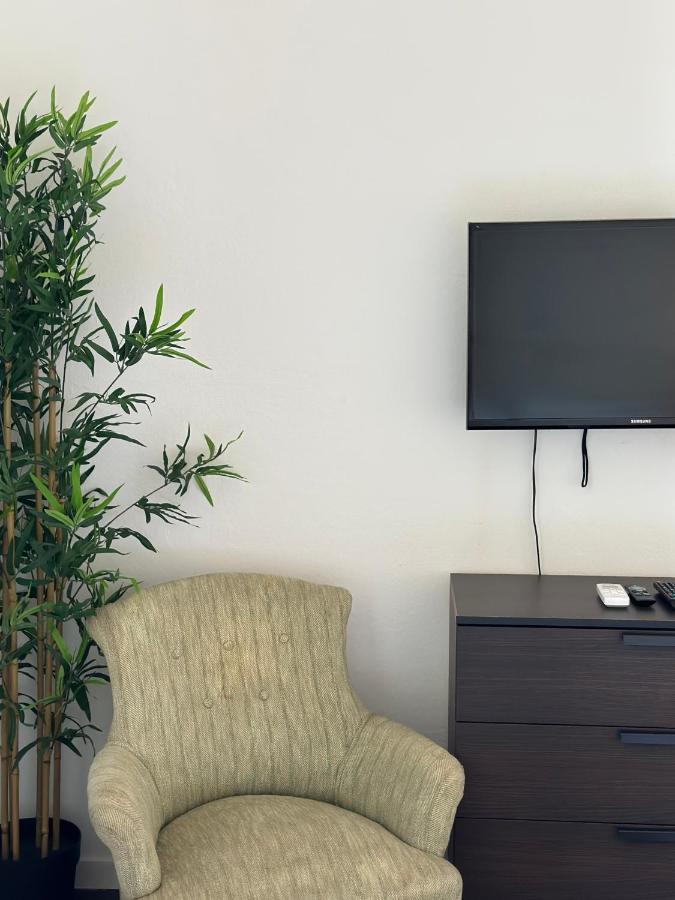 Xenia Apartments - Bright And Elegant Apartment 米兰 外观 照片
